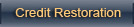 Credit Repair Raise your Credit Score